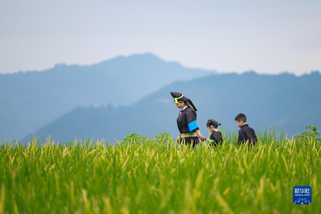 澳门一号赌场